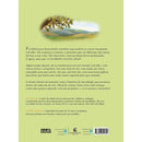 A Árvore Dentro da Semente, Max Lucado - Pechinchas Daweb