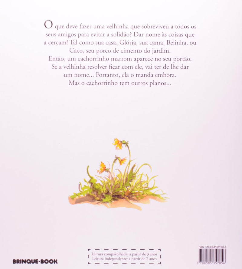 Livro O leão, a feiticeira e o guarda-roupas - Pechinchas Daweb